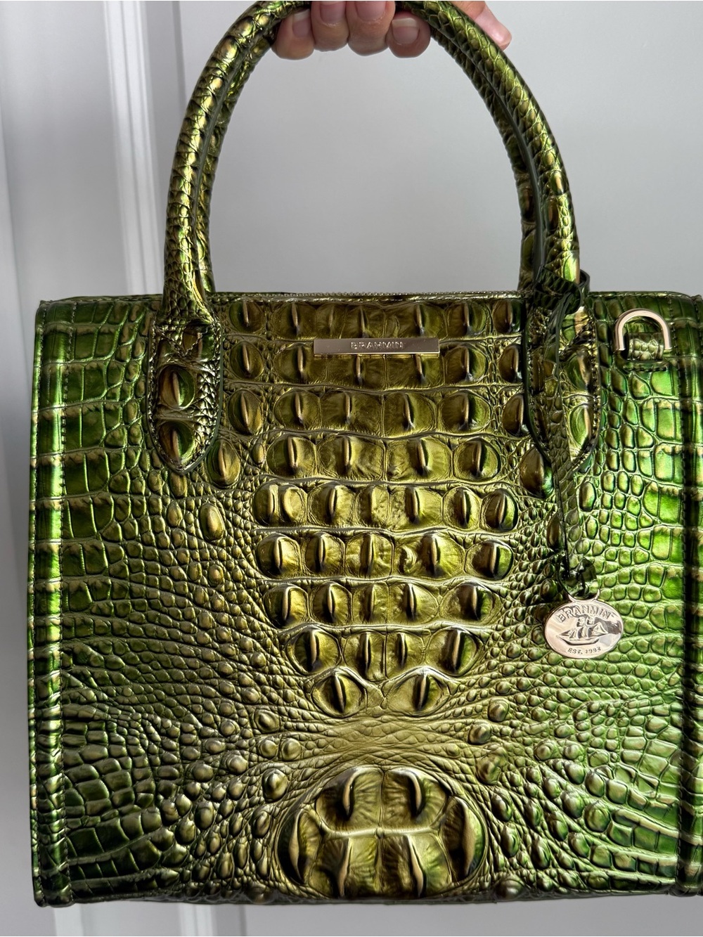 Brahmin Small Caroline Cacti Green Melbourne Leather - Picture 2 of 11